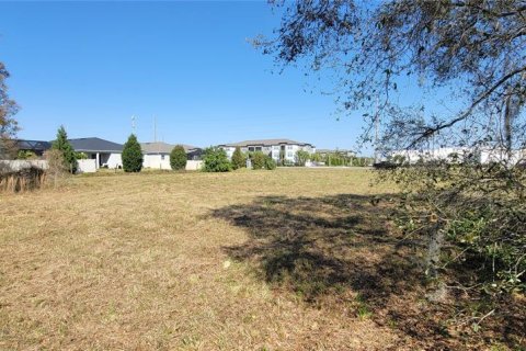 Propiedad comercial en alquiler en Bradenton, Florida № 1283793 - foto 6
