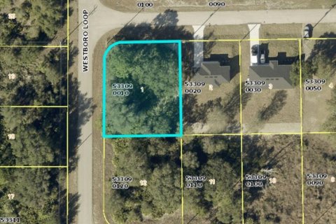 Land in Lehigh Acres, Florida № 2361394