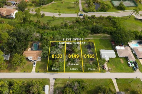 Immobilier commercial à Hudson, Floride № 2338383