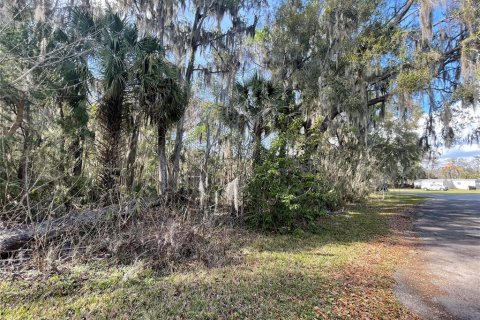 Terrain à vendre à Ocala, Floride № 2228612 - photo 2