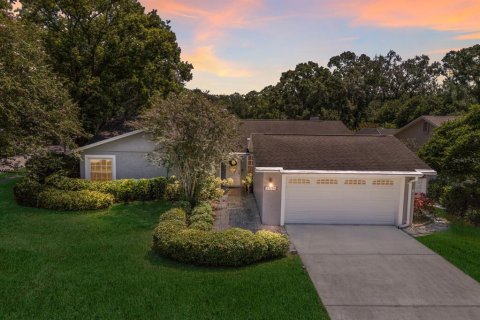 Villa ou maison à vendre à Tampa, Floride: 3 chambres, 173.91 m2 № 1908298 - photo 1