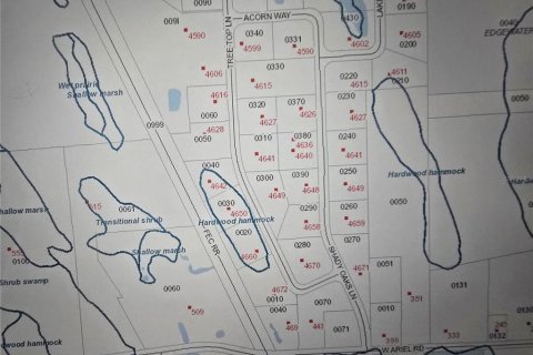 Land in Edgewater, Florida № 1625892 - photo 3