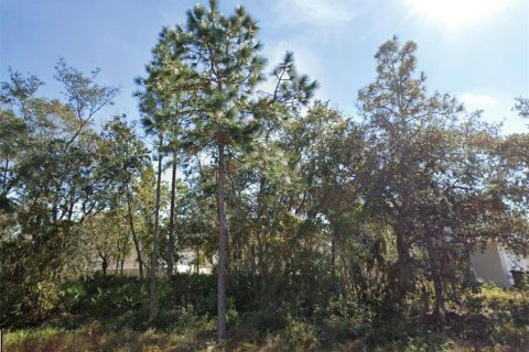 Land in Poinciana, Florida № 2330050