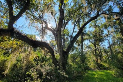 Land in Old Town, Florida № 1906397 - photo 12