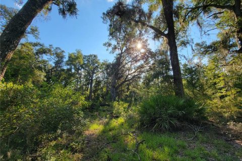 Land in Old Town, Florida № 1906397 - photo 7