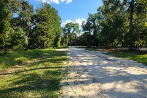 Land in Old Town, Florida № 1906397 - photo 16