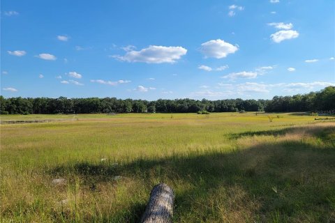 Land in Old Town, Florida № 1906397 - photo 21