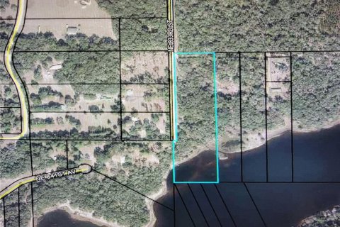 Land in Old Town, Florida № 1906397 - photo 4