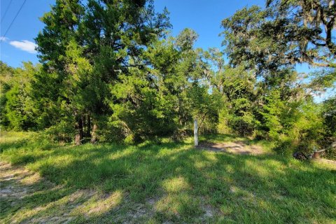 Land in Old Town, Florida № 1906397 - photo 5