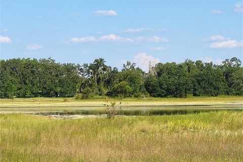 Land in Old Town, Florida № 1906397 - photo 19