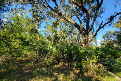 Land in Old Town, Florida № 1906397 - photo 3