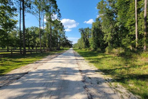 Land in Old Town, Florida № 1906397 - photo 15