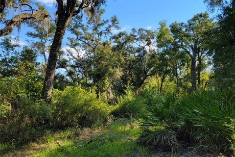 Land in Old Town, Florida № 1906397 - photo 10