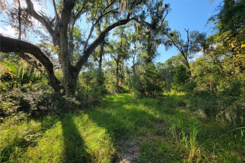 Land in Old Town, Florida № 1906397 - photo 1