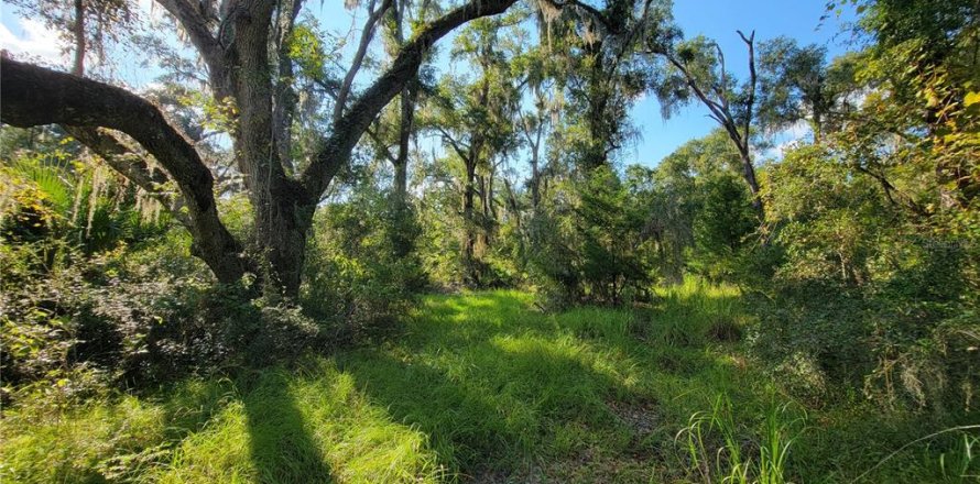 Terreno en Old Town, Florida № 1906397
