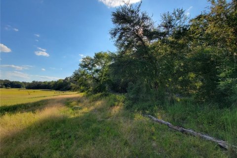 Land in Old Town, Florida № 1906397 - photo 22