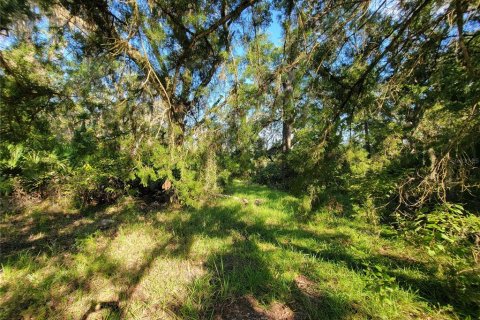 Land in Old Town, Florida № 1906397 - photo 2