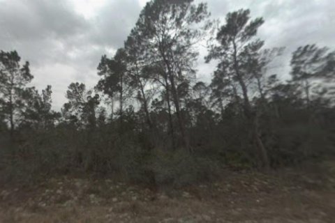 Land in Sebring, Florida № 2165207