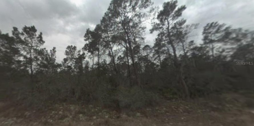 Land in Sebring, Florida № 2165207