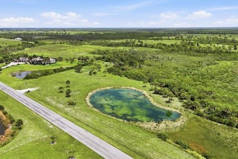 Land in Placida, Florida № 2122300 - photo 4