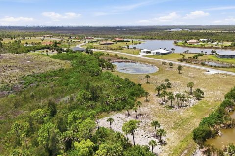 Land in Placida, Florida № 2122300 - photo 10