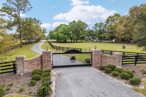 Land in Newberry, Florida № 1592462 - photo 1