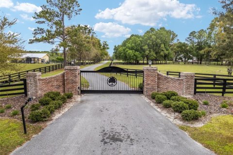 Land in Newberry, Florida № 1592462 - photo 2