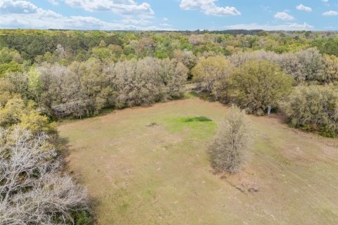 Land in Newberry, Florida № 1592462 - photo 16