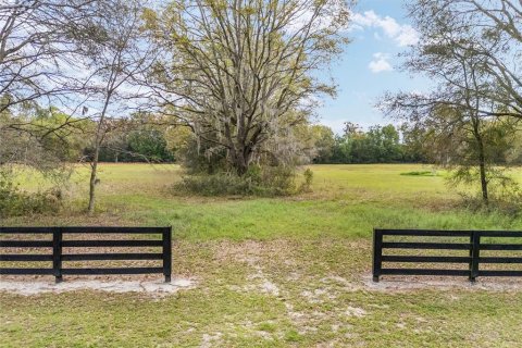 Land in Newberry, Florida № 1592462 - photo 9