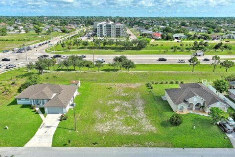 Land in Lehigh Acres, Florida № 2164300 - photo 10