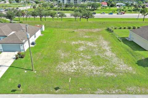 Land in Lehigh Acres, Florida № 2164300 - photo 6