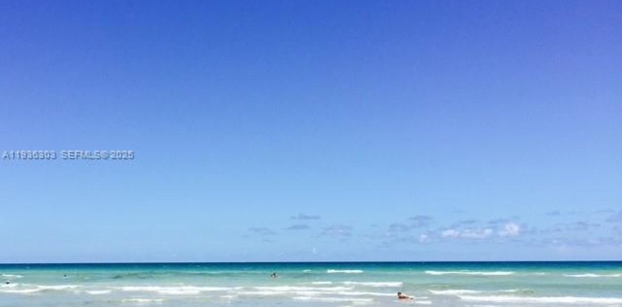 Condo in Hollywood, Florida, 1 bedroom  № 1994318