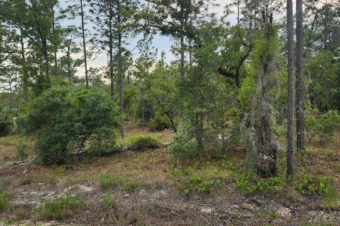 Terrain à vendre à Dunnellon, Floride № 2165755 - photo 4