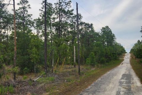 Terrain à vendre à Dunnellon, Floride № 2165755 - photo 6