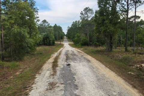 Terrain à vendre à Dunnellon, Floride № 2165755 - photo 5