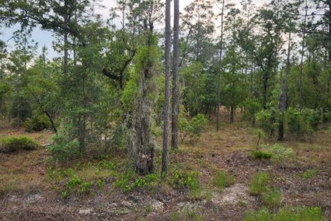 Terrain à Dunnellon, Floride № 2165755