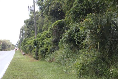Terreno en venta en Apopka, Florida № 214456 - foto 1