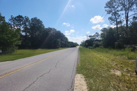 Land in Dunnellon, Florida № 2159193 - photo 11