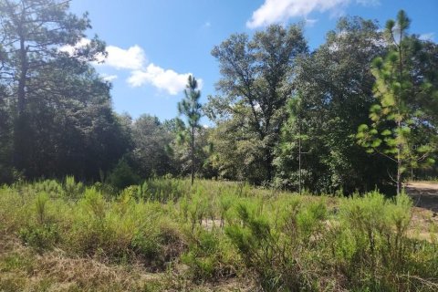 Land in Dunnellon, Florida № 2159193 - photo 12