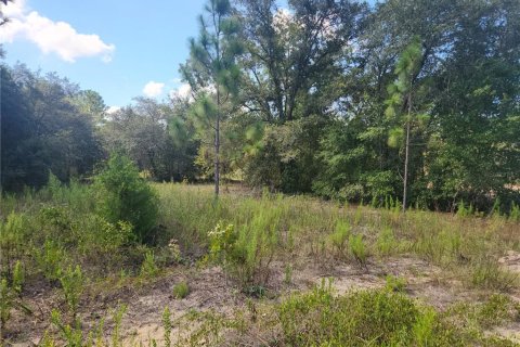 Land in Dunnellon, Florida № 2159193