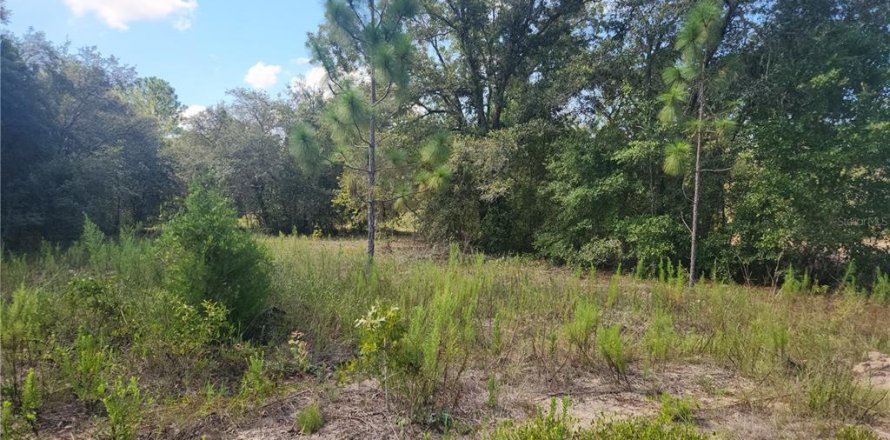 Land in Dunnellon, Florida № 2159193