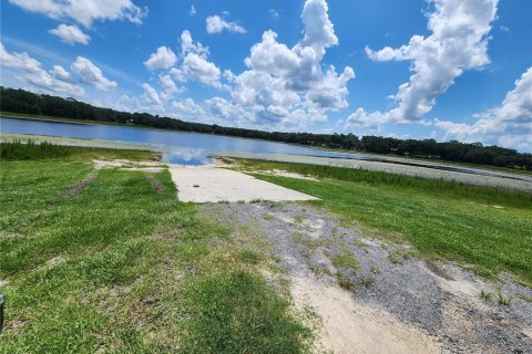 Land in Dunnellon, Florida № 2159193 - photo 4