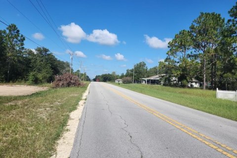 Land in Dunnellon, Florida № 2159193 - photo 10