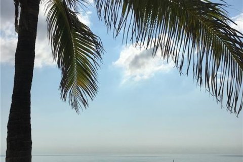 Condo in Fort Lauderdale, Florida, 1 bedroom № 2382803 - photo 21