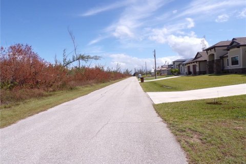 Land in Port Charlotte, Florida № 1409908 - photo 7