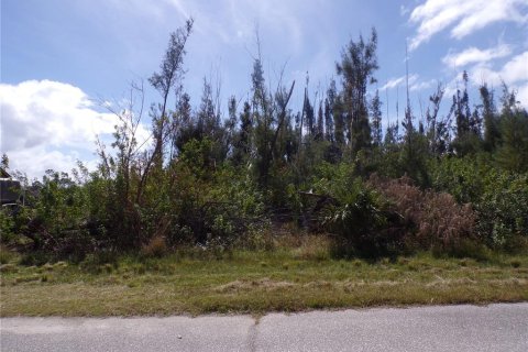 Land in Port Charlotte, Florida № 1409908 - photo 1