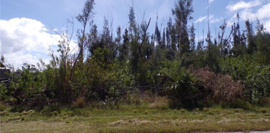 Land in Port Charlotte, Florida № 1409908