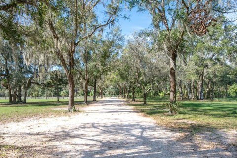 Land in Plant City, Florida № 1191028 - photo 7