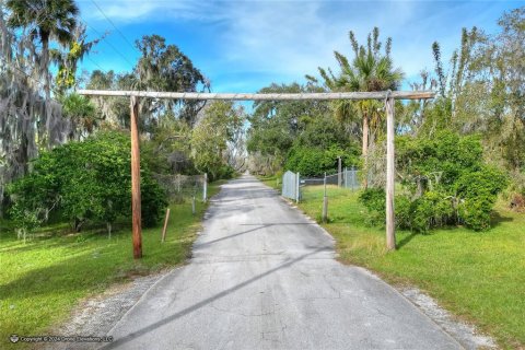 Land in Plant City, Florida № 1191028 - photo 8