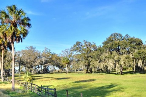 Land in Plant City, Florida № 1191028 - photo 1
